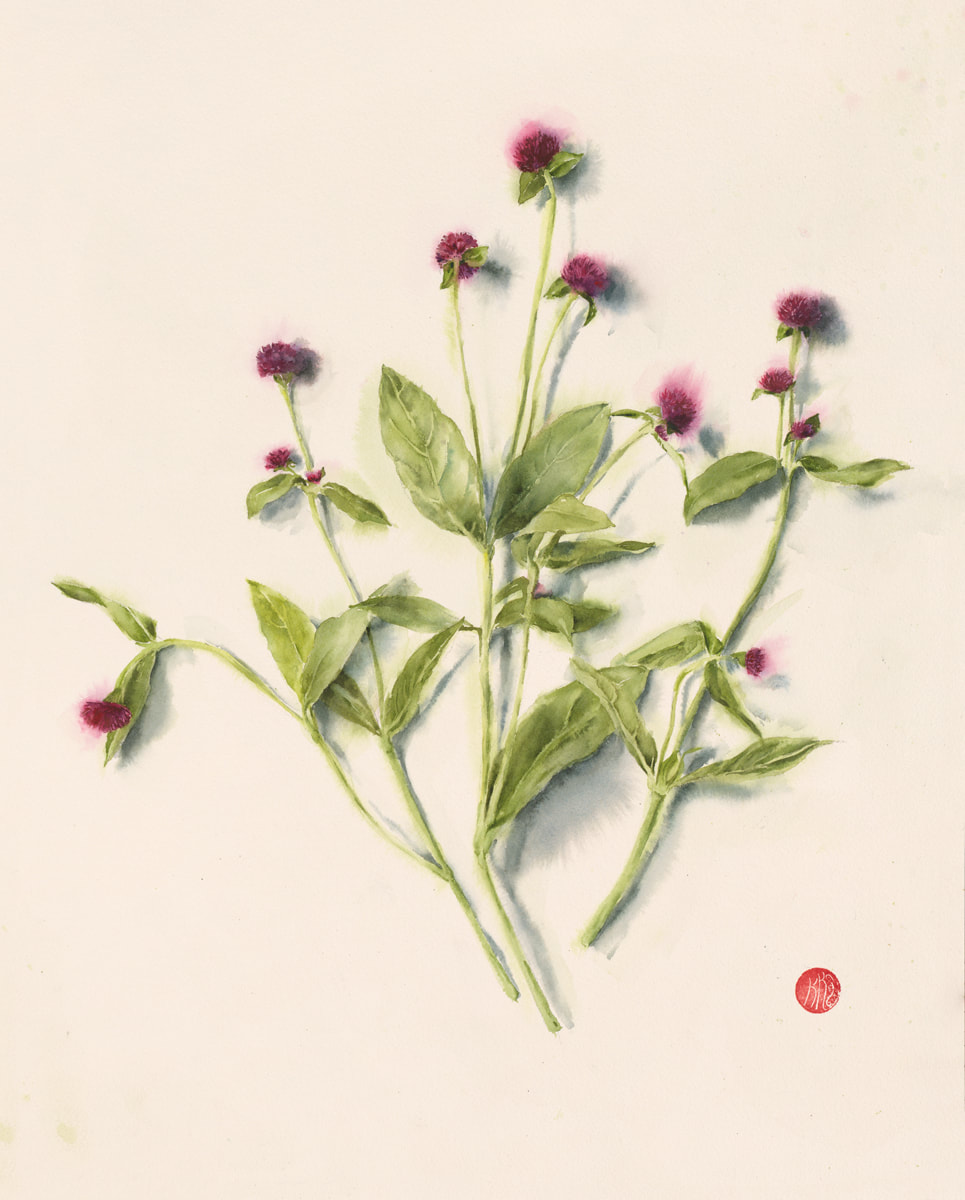 flower, botanical, krsmith_artist, still life, watercolour, watercolor, aquarelle, amaranth, red