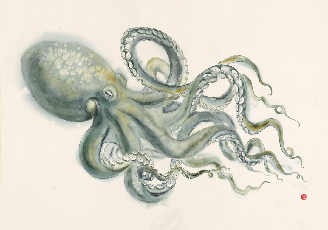 blue, octopus, cephalopods, kraken, oceanart, krsmith_artist, watercolour, watercolor