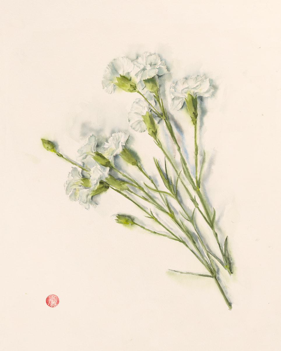white, flower, botanical, krsmith_artist, still life, watercolour, watercolor, aquarelle, carnation