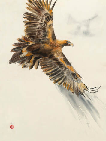 Wedge_Tailed_Eagle, watercolour, watercolour, krsmith_artist, bird_art