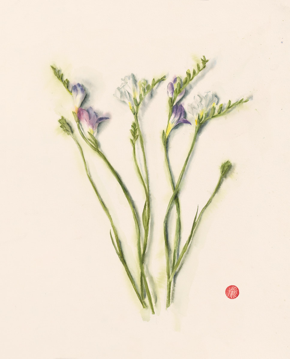 flower, botanical, krsmith_artist, still life, watercolour, watercolor, aquarelle, freesia, purple and white