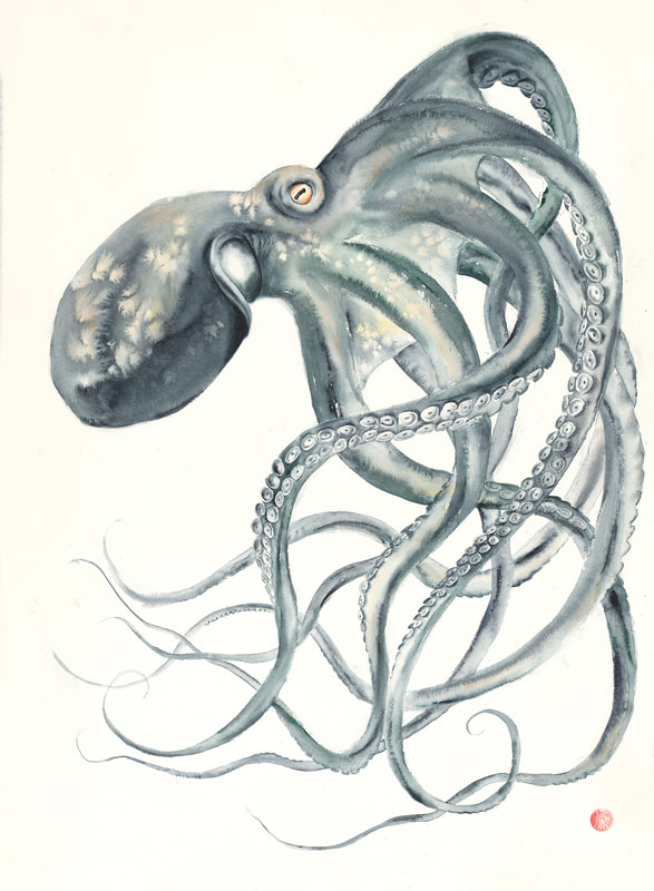octopus, cephalopod, watercolour, watercolour, blue grey, krsmithartist, ocean art