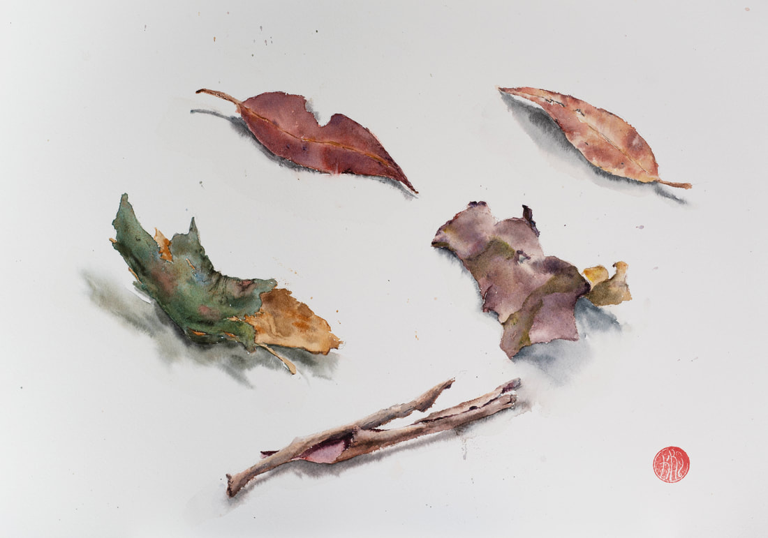 watercolour, watercolour, krsmith_artist, eucalyptus bark, eucalyptus leaves