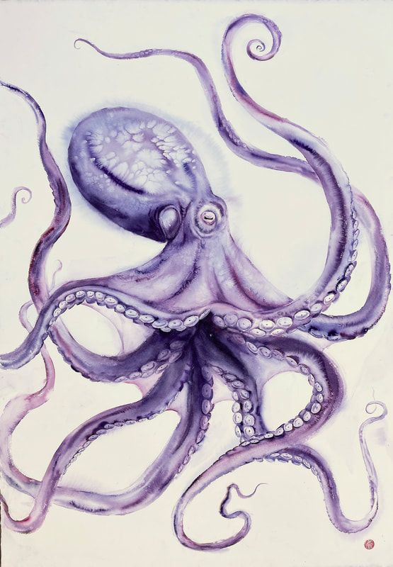 octopus, cephalopod, ocean art, krsmith artist, ocean life, watercolour