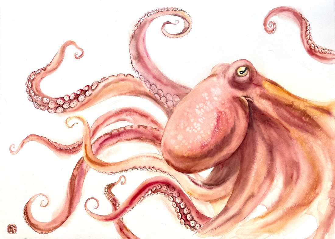 octopus, red orange, krsmithartist, cephalopod, kraken, watercolour, watercolour, tentacles, oceanlife, marine life