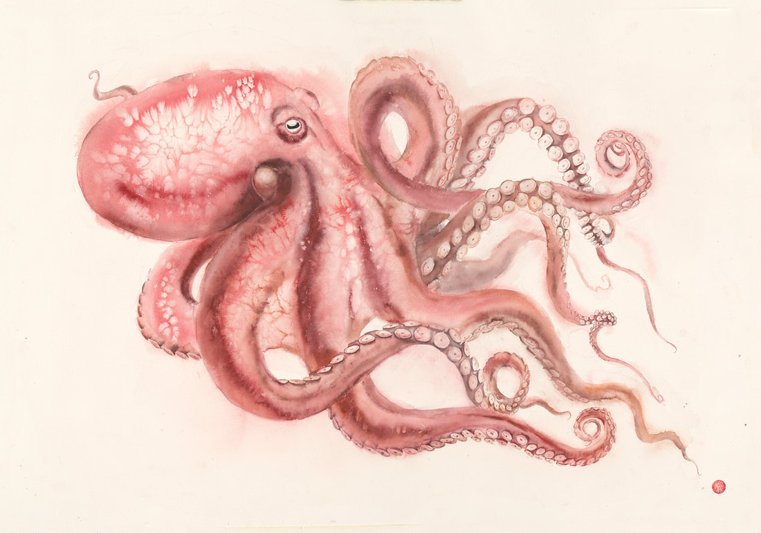 red, octopus, cephalopods, kraken, ocean art, krsmith_artist, watercolour, watercolor