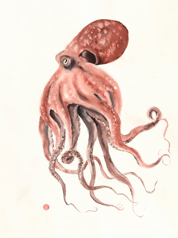 Octopus, octopus art, watercolour, watercolor