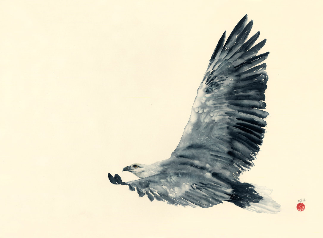 White_Bellied_Sea_Eagle; watercolour, watercolour, krsmith_artist, bird_art